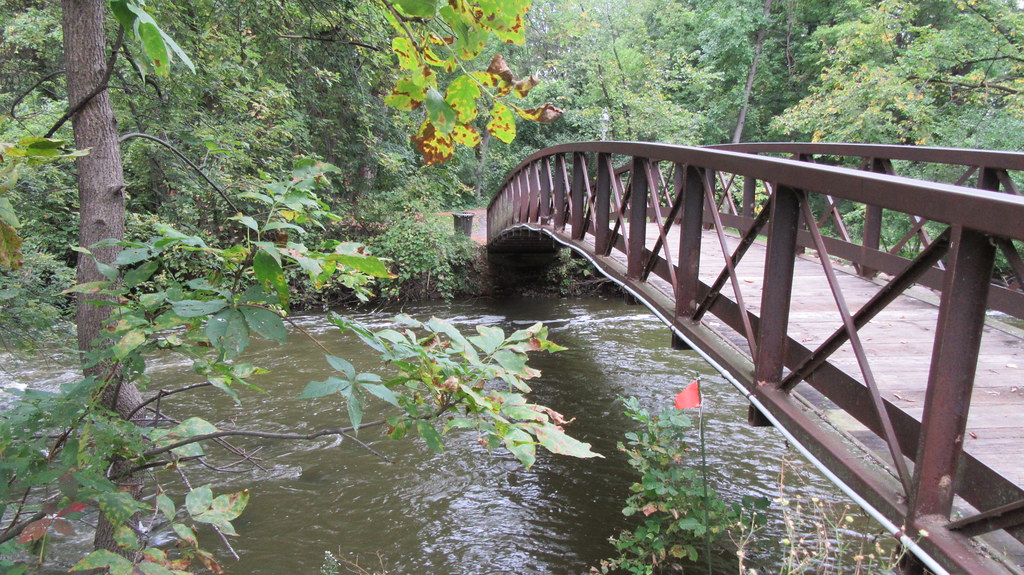 20160917 Below Locke Lake by Cathi_1424 kmjkrzk Flickr