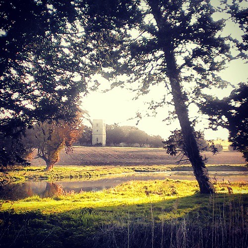 Fornham St Genevieve Church at Anita Matthews blog