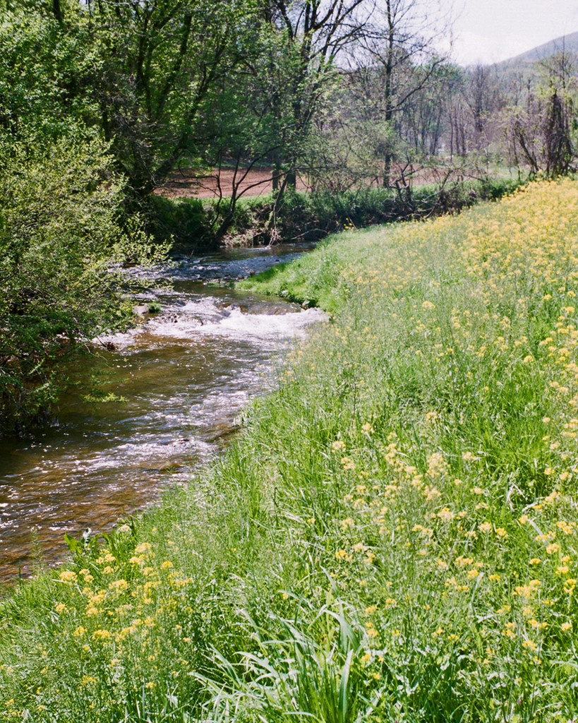 Powder Mill Creek In the middle of Boones Mill, VA. Amazin… Flickr