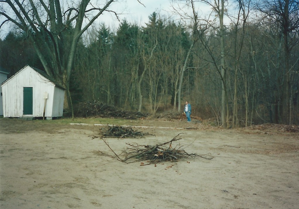 Holliston Historical Society That Cottonwood tree was ball… Flickr