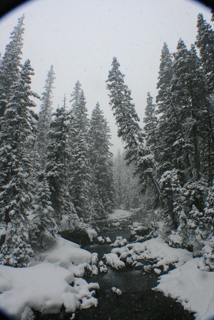 04/13/13 Snowshoe to Forks Campground in Kananaskis Flickr