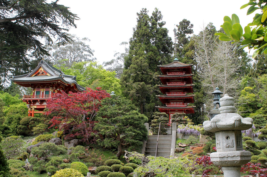 Japanese Tea Garden Tom Ipri Flickr