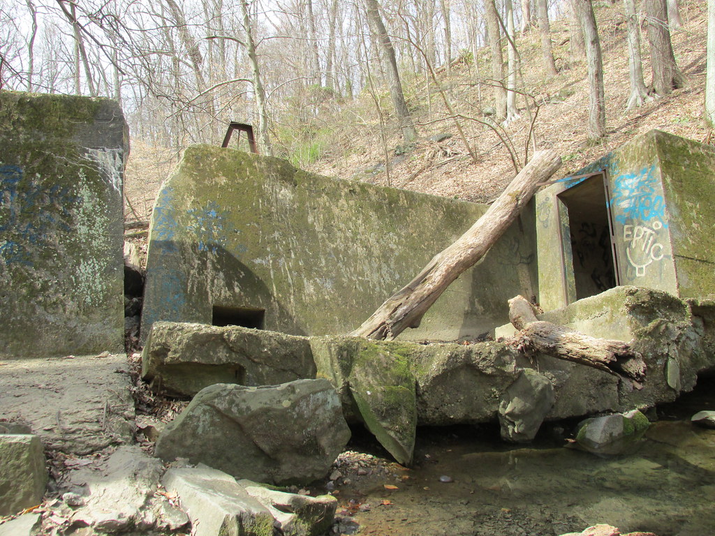 Donaldson Run Remains of dam that once held community swim… Flickr