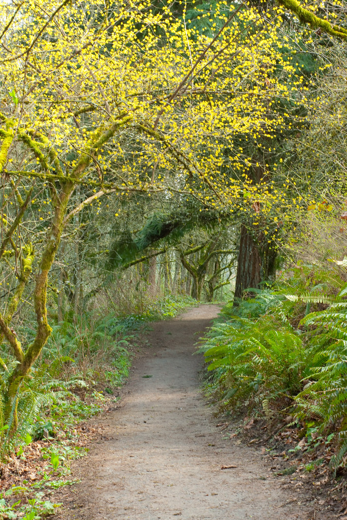 Hoyt Arboretum Hoyt Arboretum April 2013 huffmw Flickr