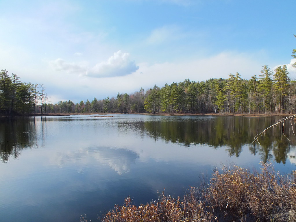 Hog Meadow Pond A look at Hog Meadow Pond in Raymond Maine… Ron Gay