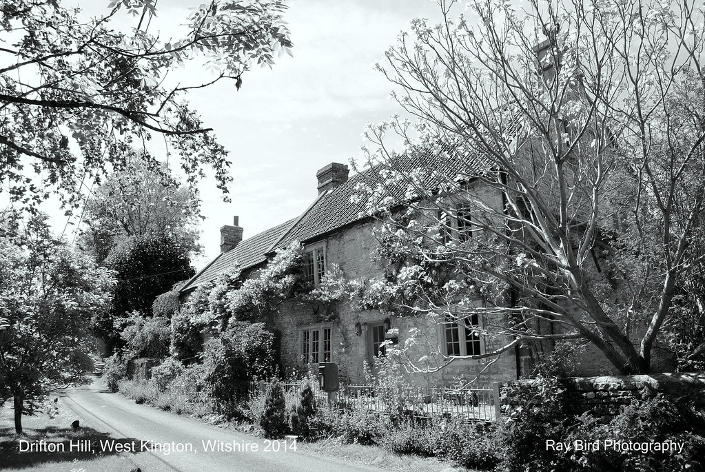 Drifton Hill, West Kington, Wiltshire 2014 Ray Bird Flickr