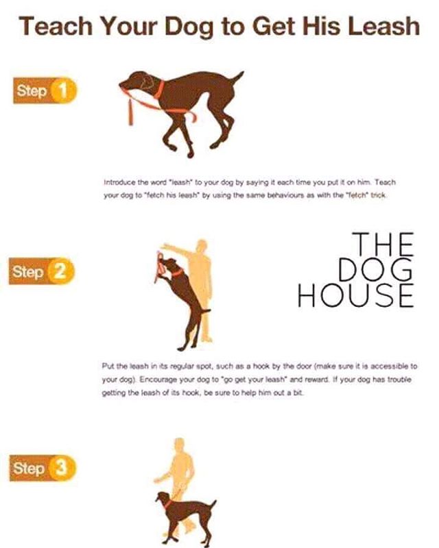 Top 81 + Animal house alabang