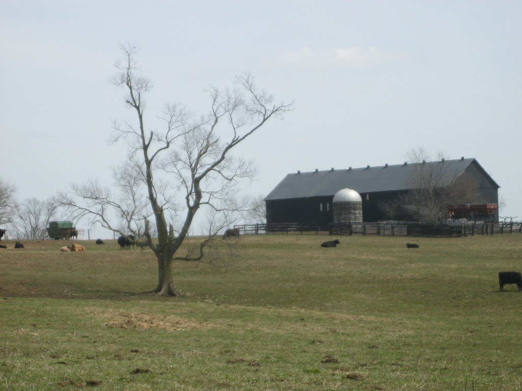 Farm in Jessamine County, Ky. kaintuckeean Flickr