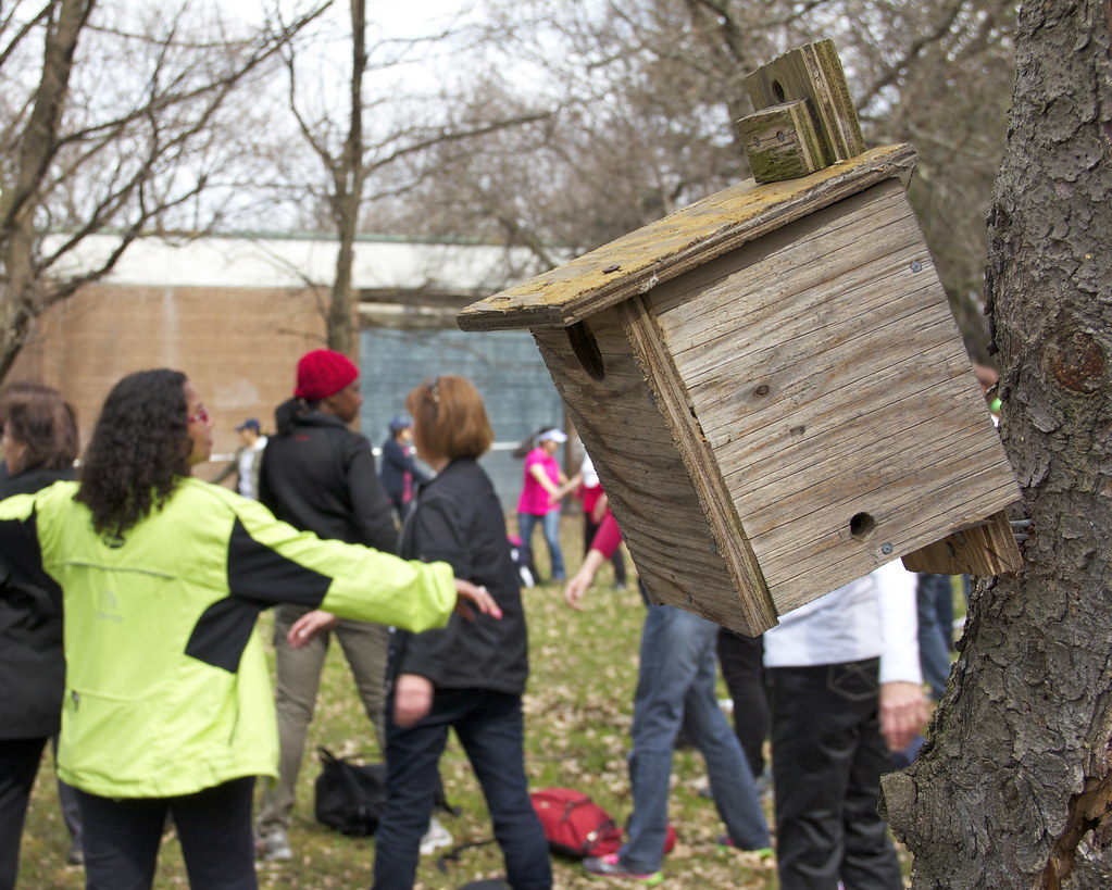 Yoga Birdhouse while doing Yoga with Leo Mowry Village Y… Flickr