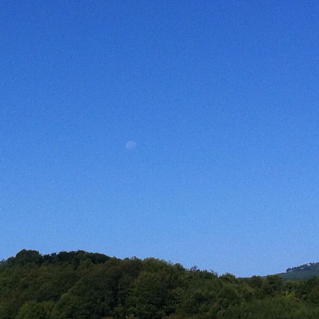 upload Rocco Domenico Graziano Chiera Flickr