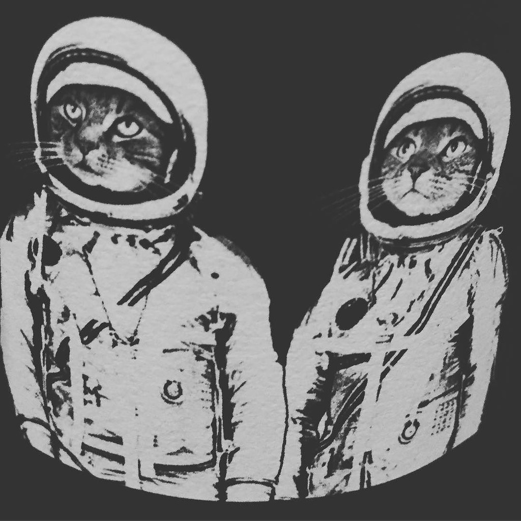 Love this space cat label for felicette wine amdrinking Flickr