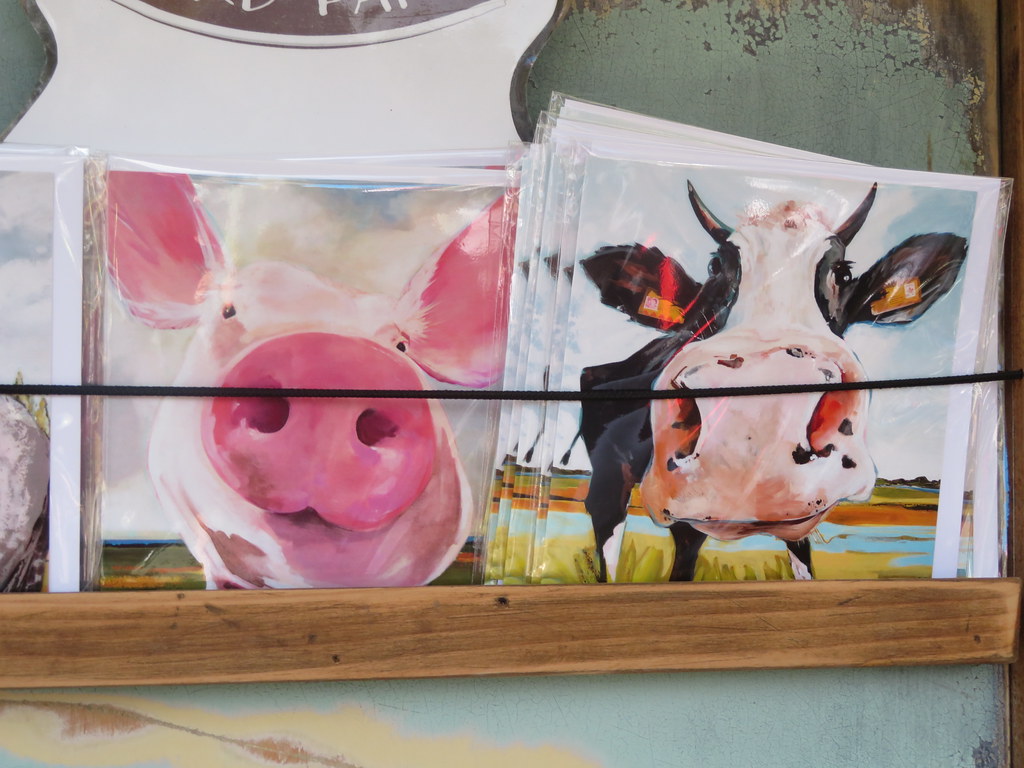 2018 07 21 Moss Street Art Walk 55 Blake Handley Flickr