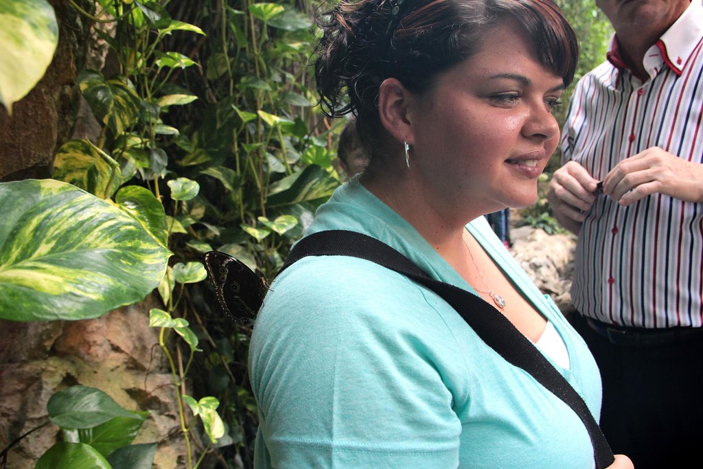 IMG_8762 Bradley Lambert Flickr