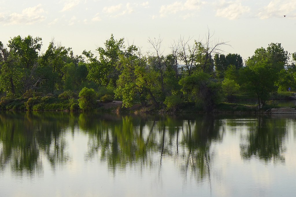 Prospect Ponds June 4 2013 Flickr