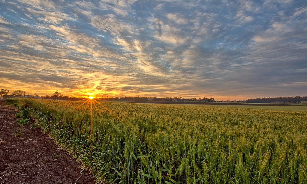 SUNRISE 08/10/2016, WESTBROOK, TOOWOOMBA, QUEENSLAND. Flickr