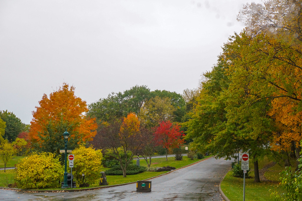 DSC06321.jpg Fall Foliage in Quebec City Graphics by Gwynn Flickr