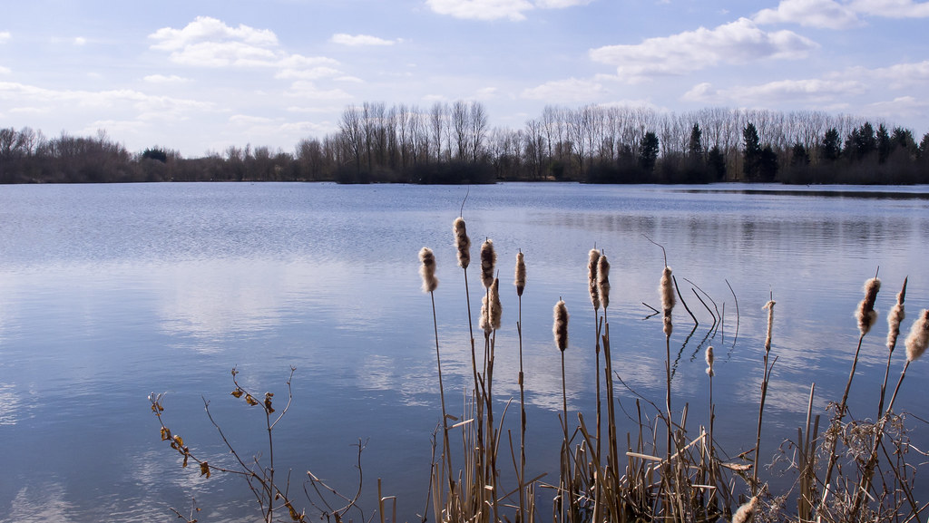 Radley Lakes Ed ster Flickr