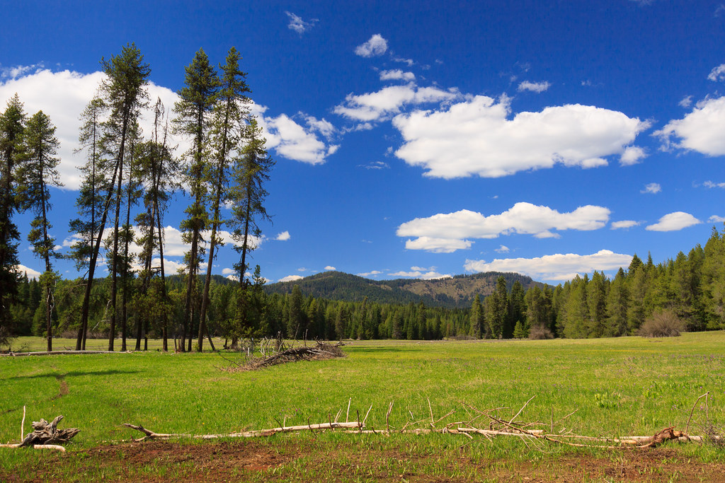 Elevation of Little Boulder Campground, Park Rd, Deary, ID, USA