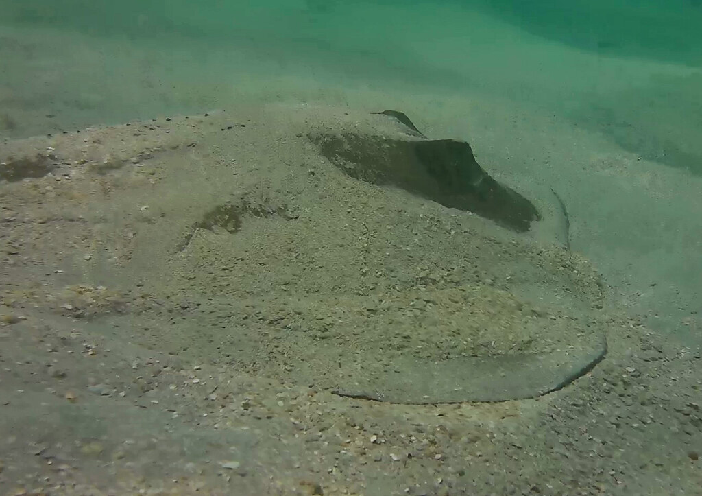 Western Mooring Balls Key West oddhumor Flickr