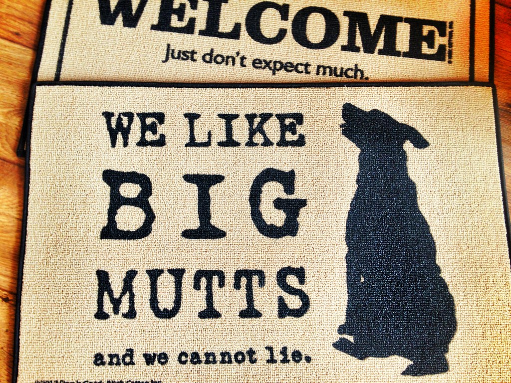 HIGH COTTON DOORMATS made in the USA comical doormats. frances shanks Flickr