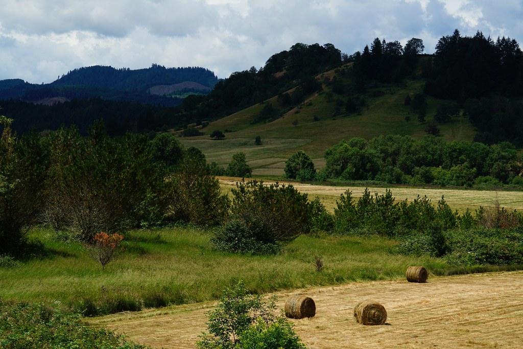 Hay fields Took this near Grants Pass in Oregon. I liked t… Flickr