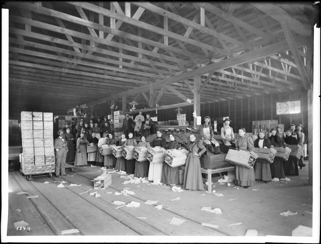 Interior of packing house, probably Covina, California (CH… Flickr