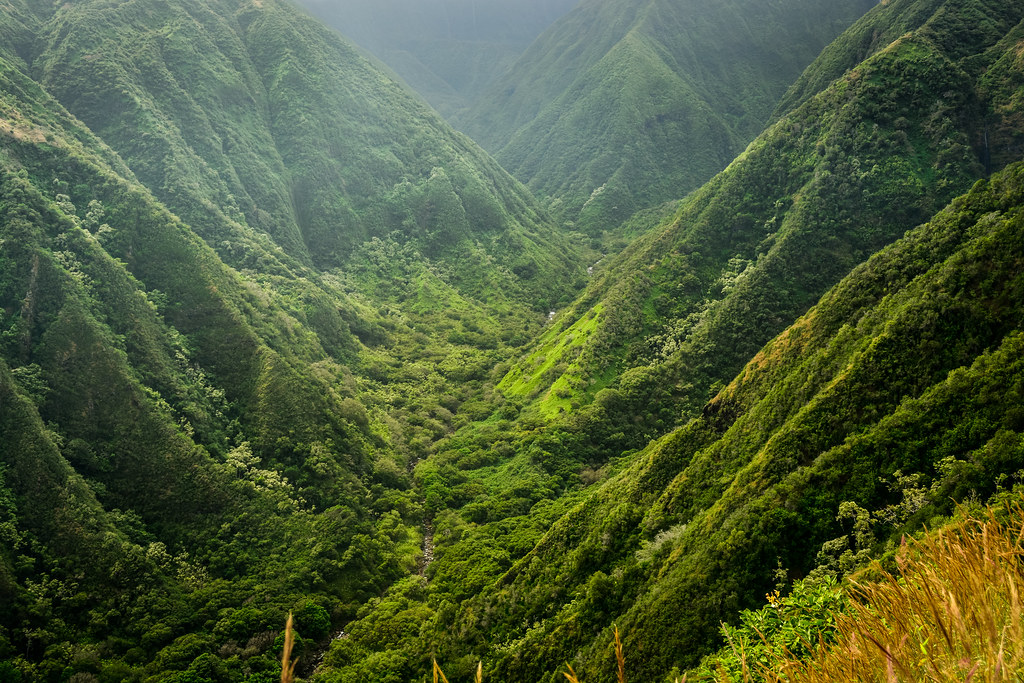 Waihee Valley The Waihee Valley and Waihee River as seen f… Flickr
