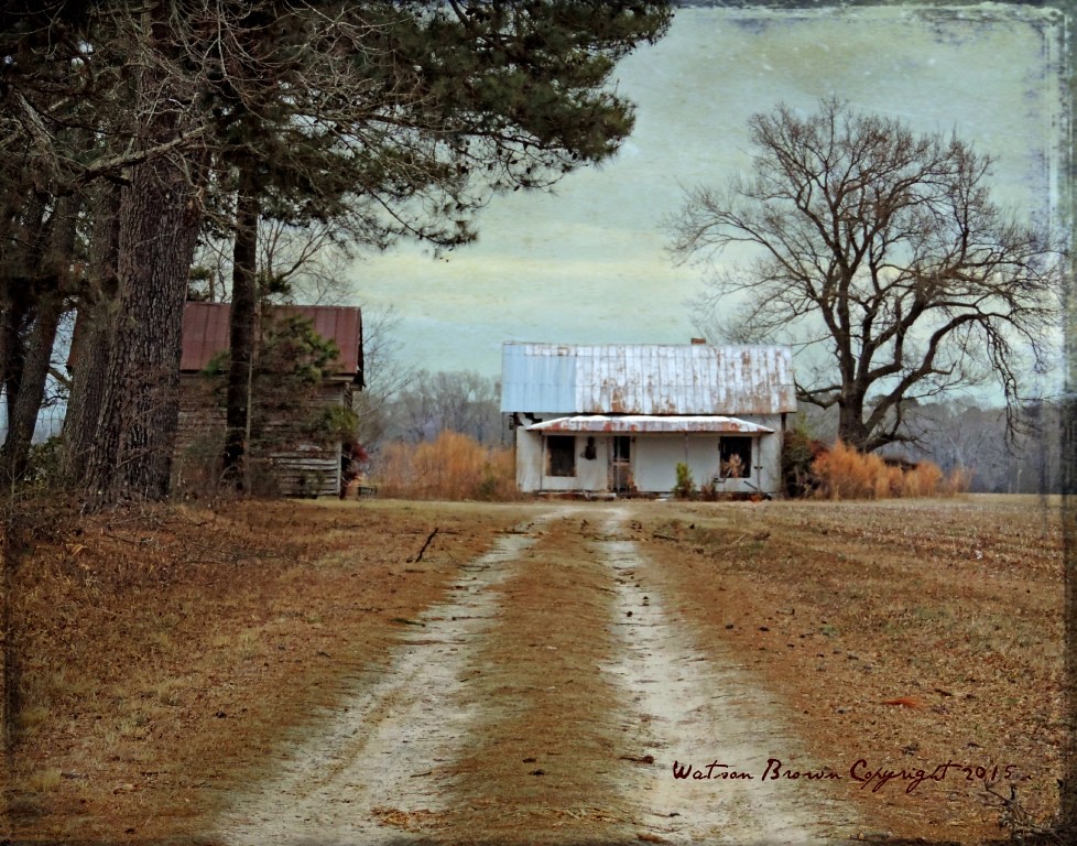 The Old Tenant House at Swamp Lawn Plantation Martin County, North