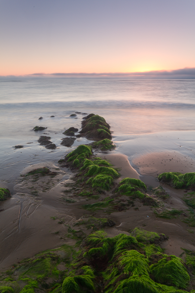 Green Sunrise Green Sunrise Darragh Sherwin Flickr