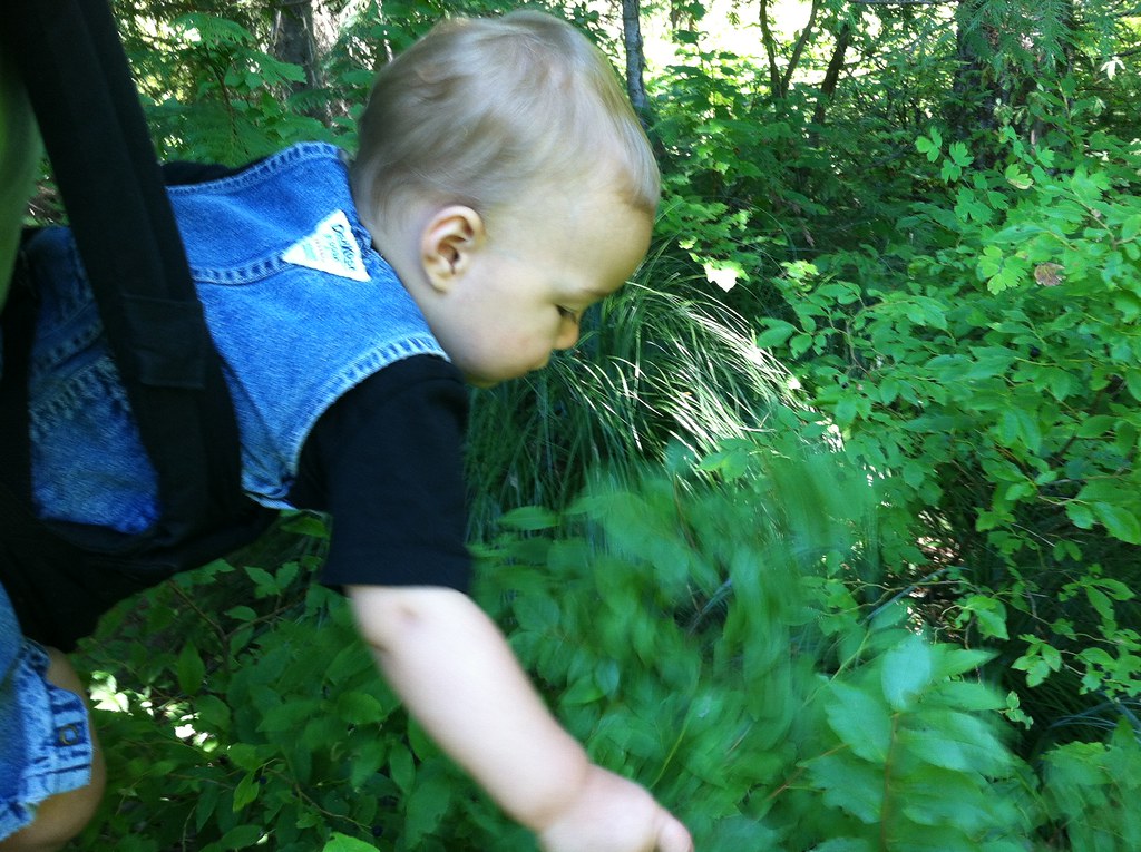 Pat's phone 177 brandygalloway Flickr