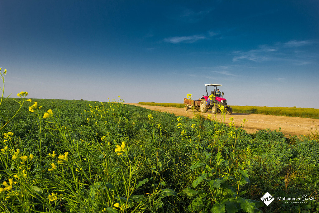 Irkaya Farm Qatar Irkaya Farm Qatar Muhammed Salih Flickr