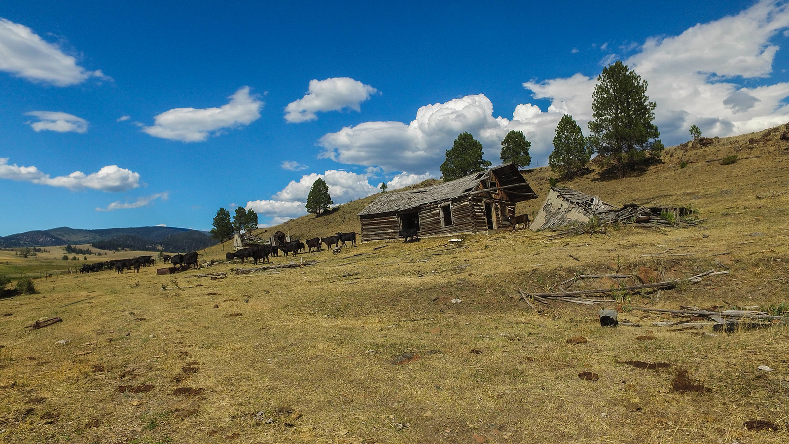 Ophir Creek Ranch Avon MT Flickr