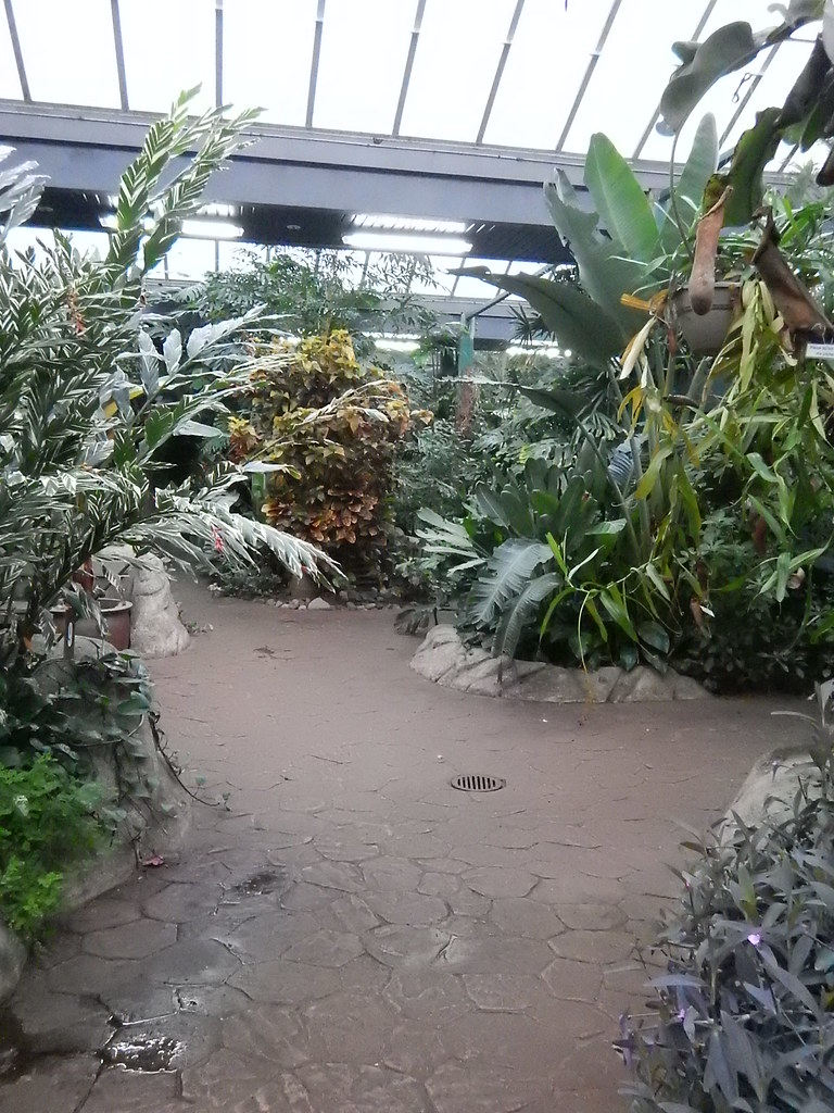 2015 01 13 Butterfly Gardens 024 Blake Handley Flickr