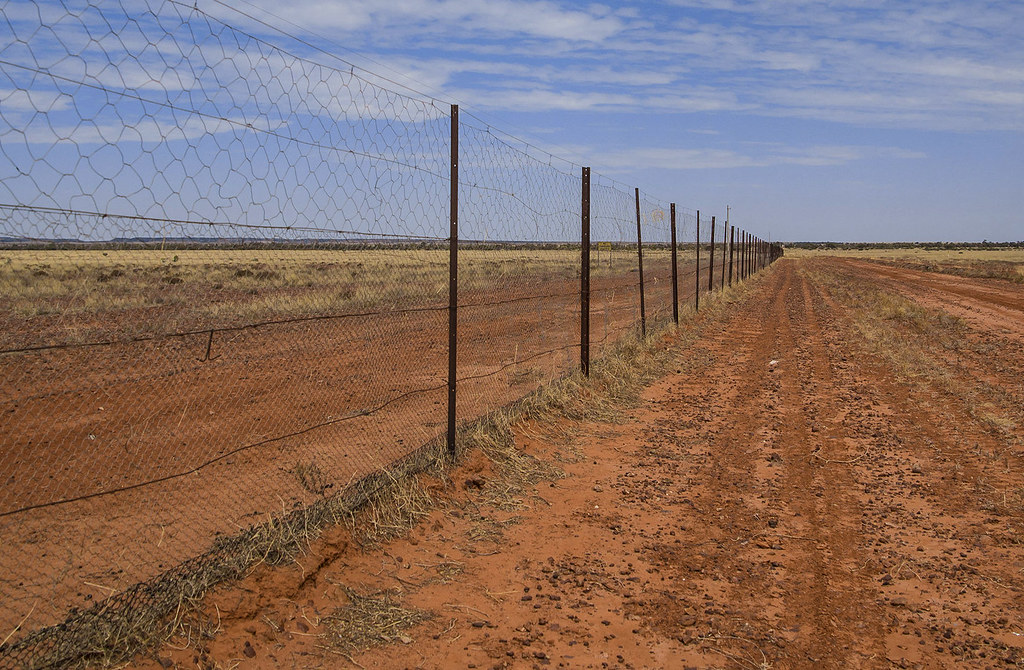 Barrier Taken at the Warri gate, Wild Dog Fence at QldNSW… Flickr