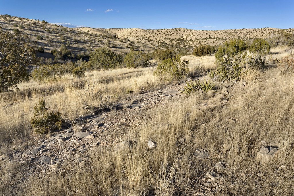Near Chatfield Canyon Near Chatfield Canyon, between the G… Flickr