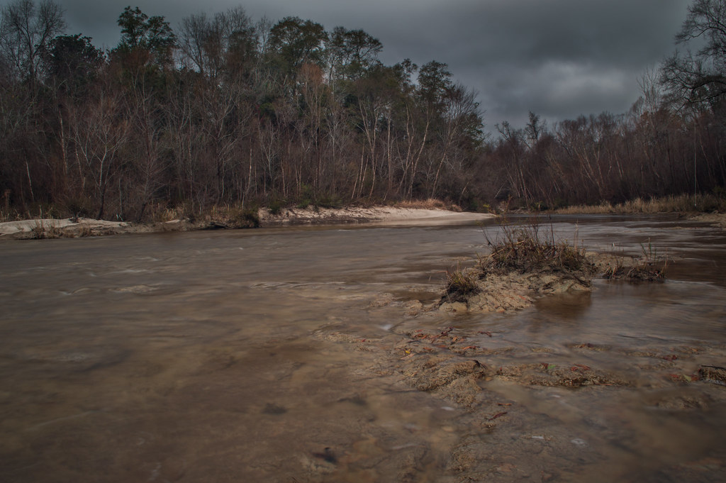 Wolf River taken on wolf river in south Mississippi. Jacob Smith