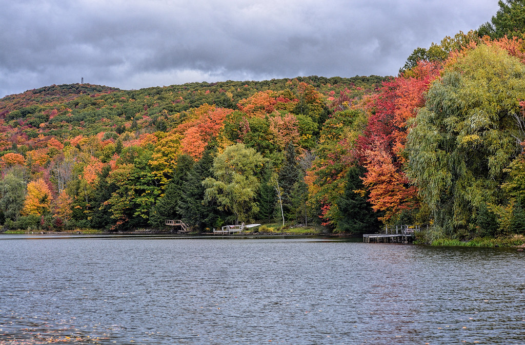 DSC_1921 private lake in Gilboa, NY J Ellen Flickr