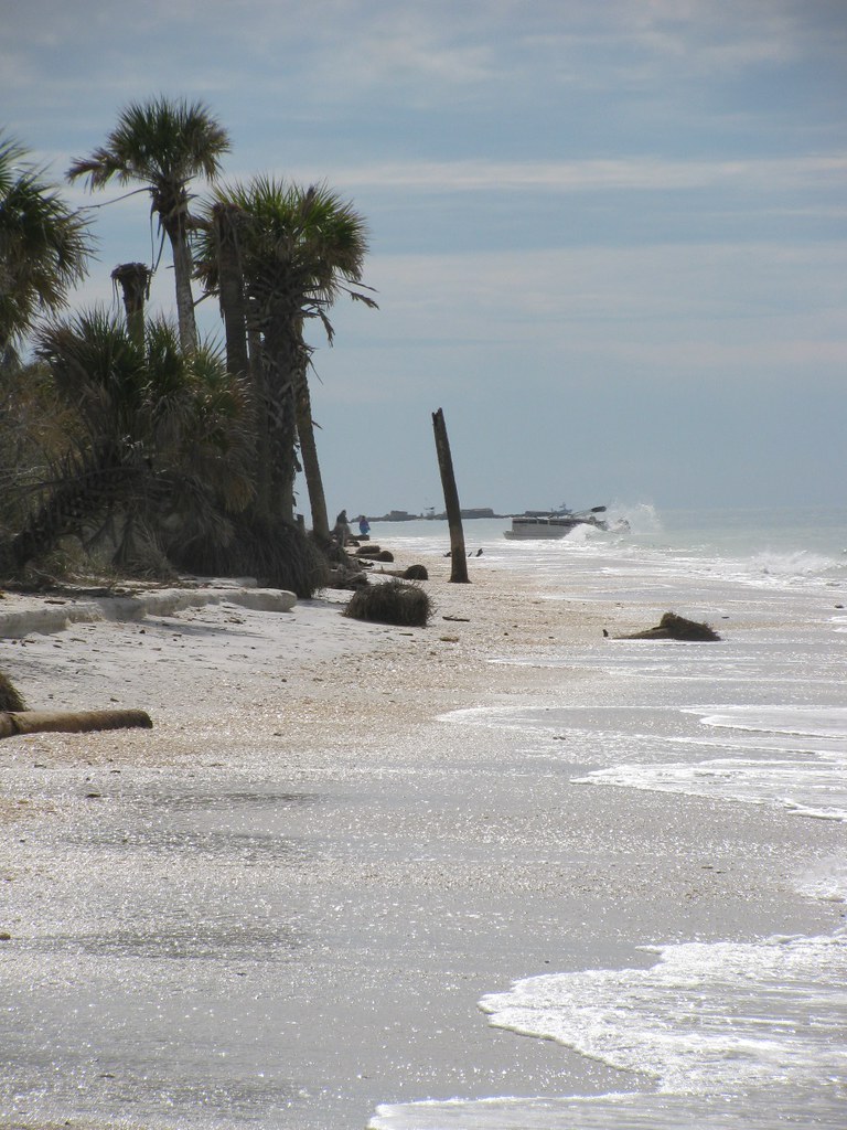 Egmont Key, Florida Egmont Key beach, on the Florida Gulf … Flickr
