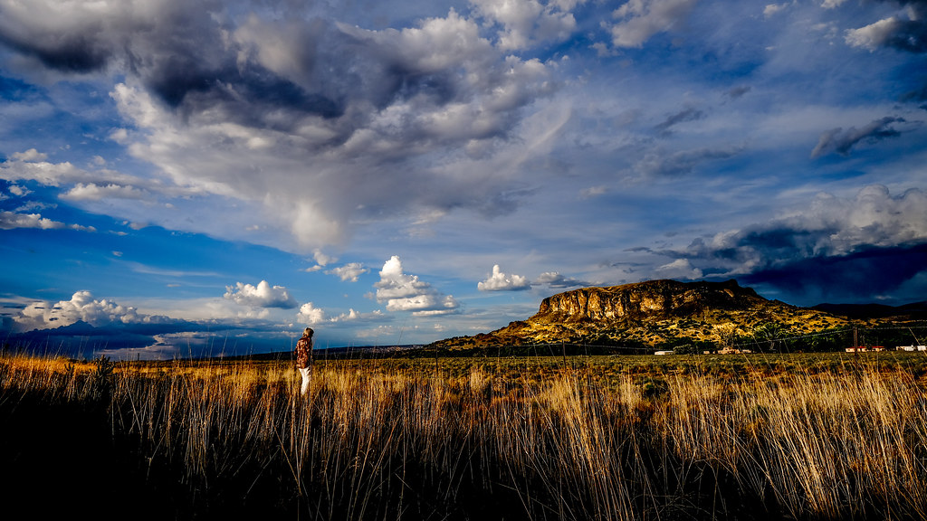 Hernandez,New Mexico spinyman Flickr