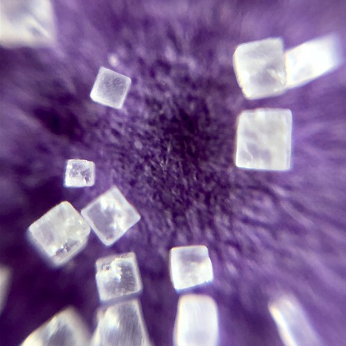 table salt NaCl crystals DIY Microscopes Flickr