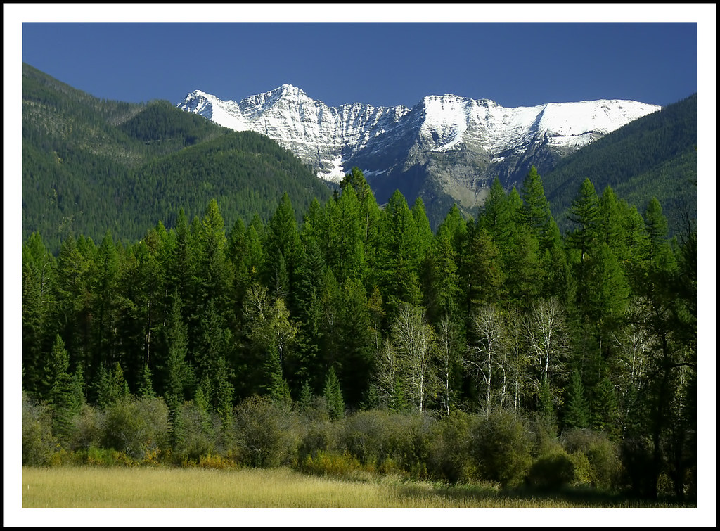 Montana's Swan Range above the Swan River Valley A beautif… Flickr