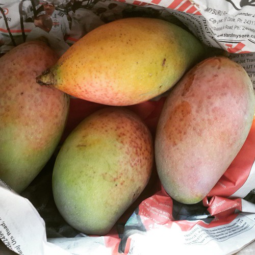 Our off season mangoes ripen ratna rajaiah Flickr