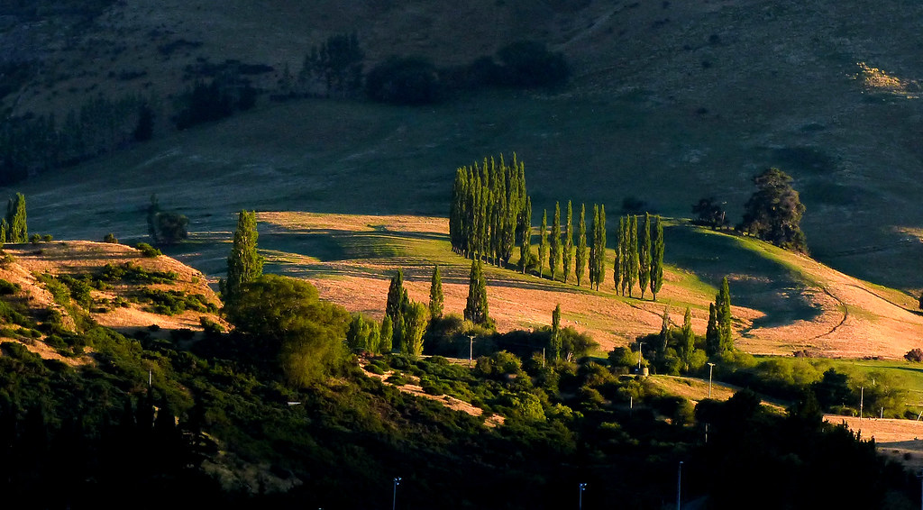 Frankton Sunrise.Otago. NZ. Frankton is located on the edg… Flickr