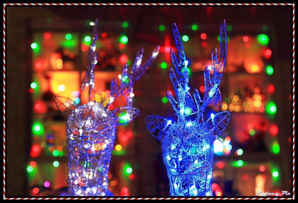 Christmas Lights The Winning House Camden Councils best … Flickr