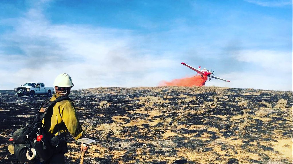 2016 Fire Season with the Folsom Lake Veterans' Fire Crew Flickr