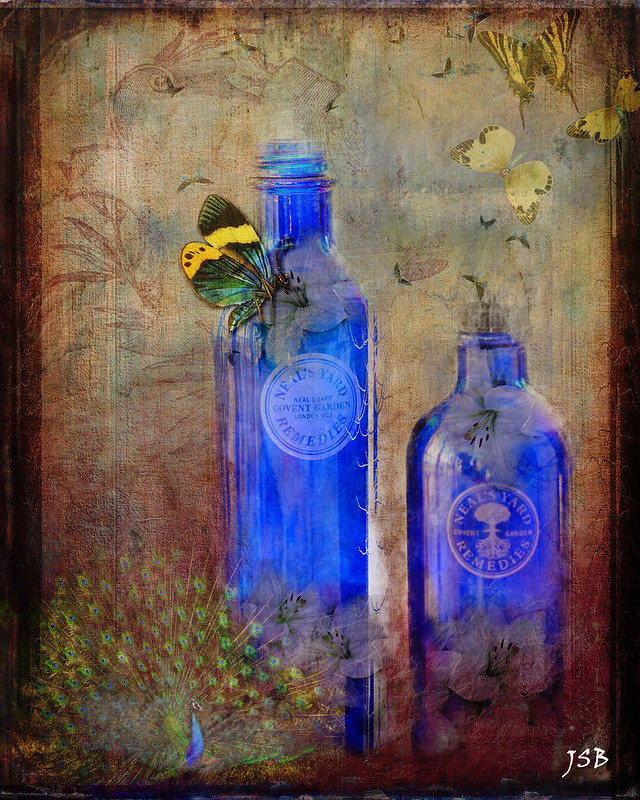 The Glass Menagerie Flickr