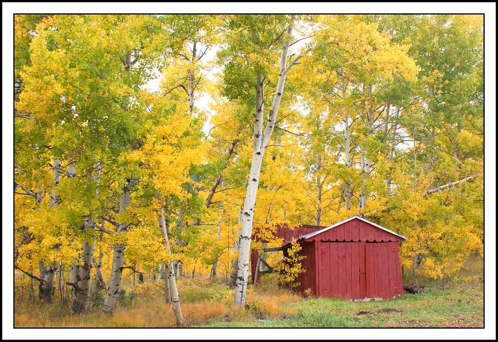 Red Shed Gary Flickr