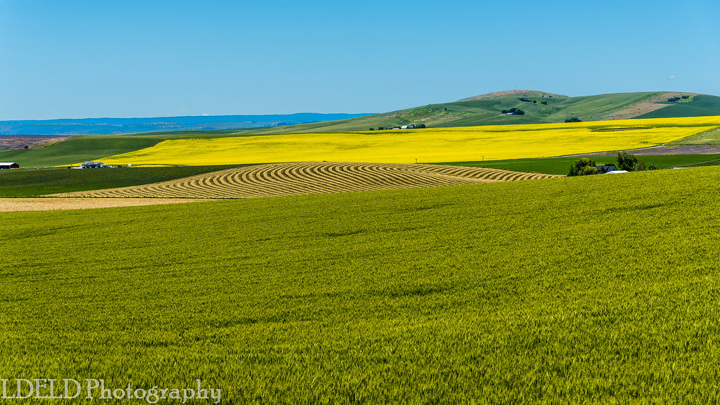 Elevation of Thorn Springs Rd, Kamiah, ID, USA Topographic Map