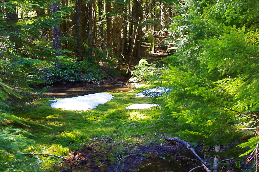 IMGP1504 Dave Pollard Flickr