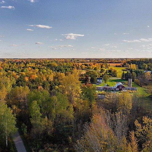 Elevation of Emmett Township, MI, USA Topographic Map Altitude Map